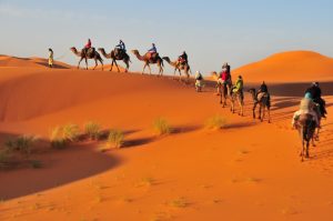 misteri-bukit-fosil-abu-dhabi-bentang-alam-beku-yang-menceritakan-sejarah-perubahan-iklim